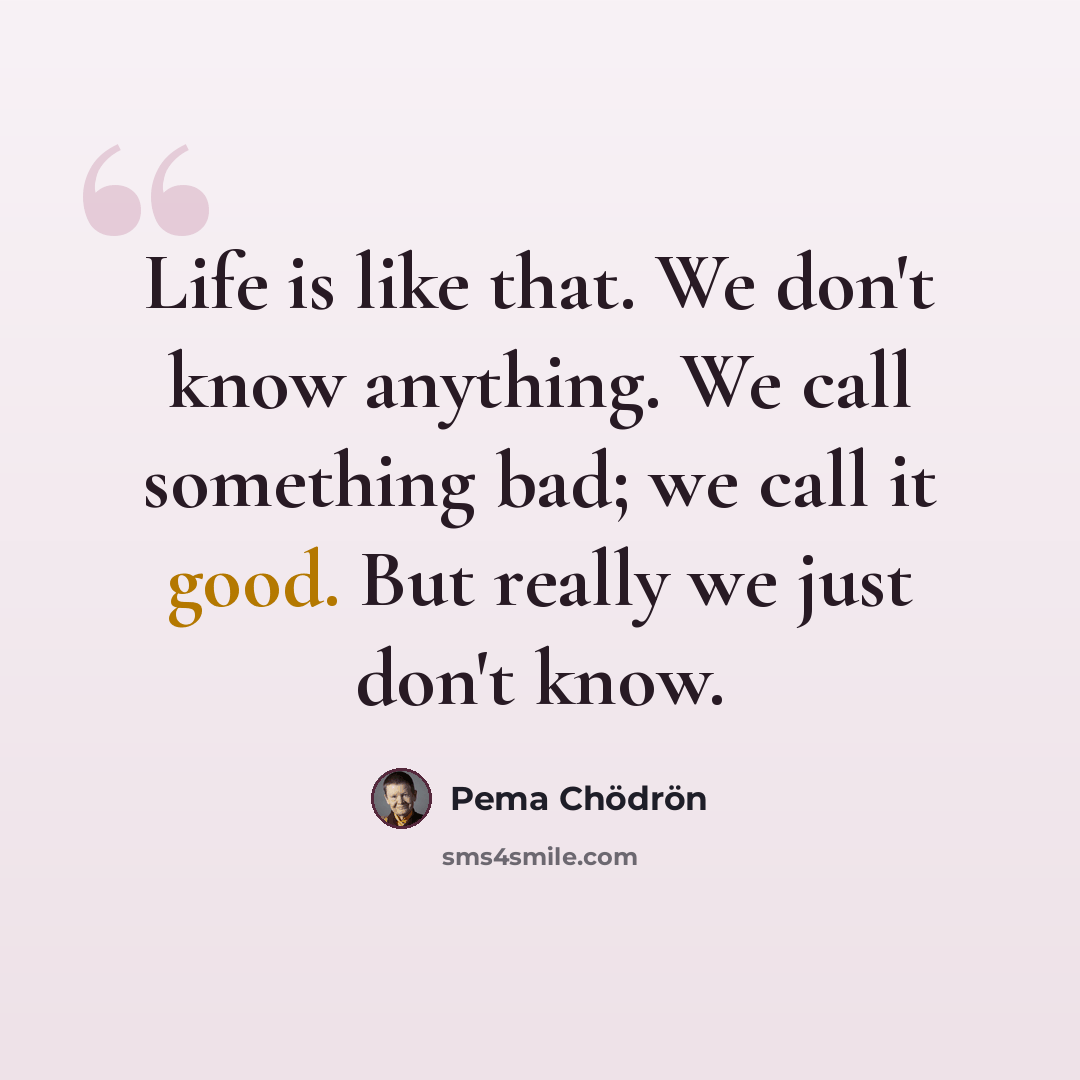 “Life is like that. We don't know anything. We call something bad; we call it good. But really we just don't know.” quote by Pema Chodron