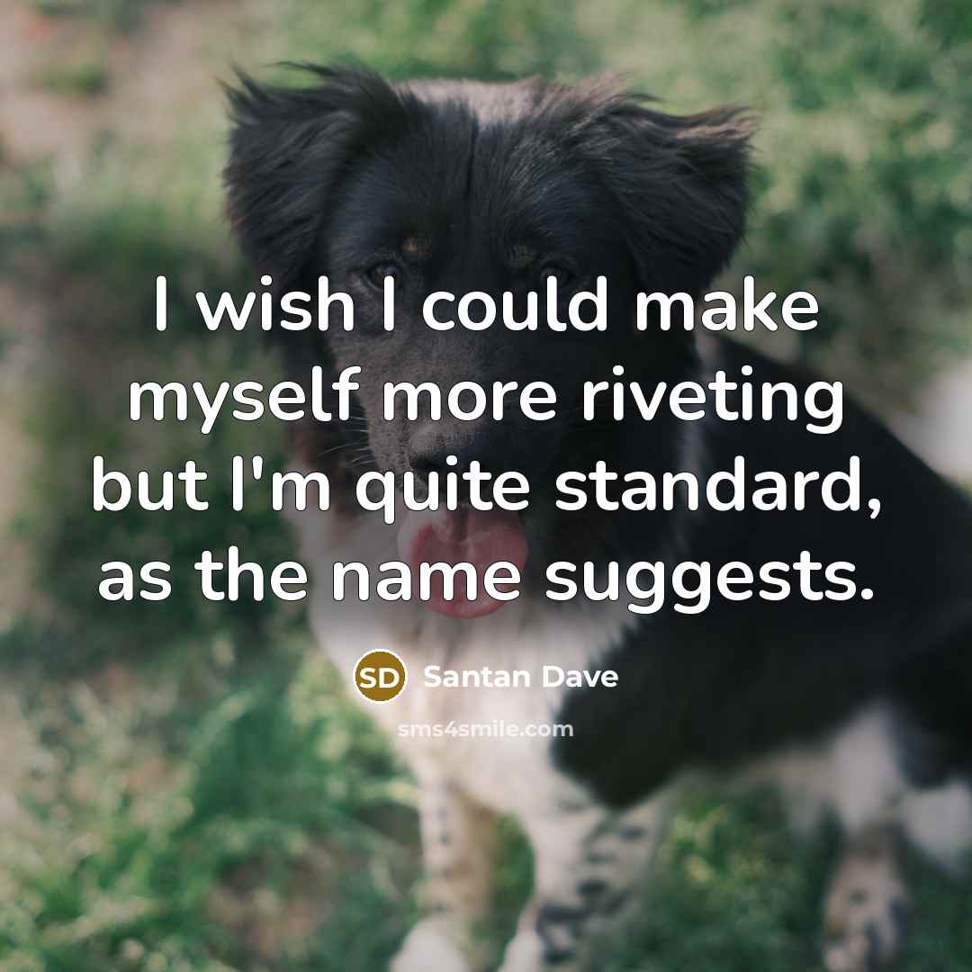 “I wish I could make myself more riveting but I'm quite standard, as the name suggests.” quote by Santan Dave