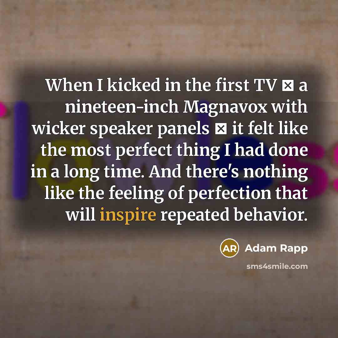 “When I kicked in the first TV  a nineteen-inch Magnavox with wicker speaker panels  it felt like the most perfect thing I had done in a long time. And there's nothing like the feeling of perfection that will inspire repeated behavior.” quote by Adam Rapp