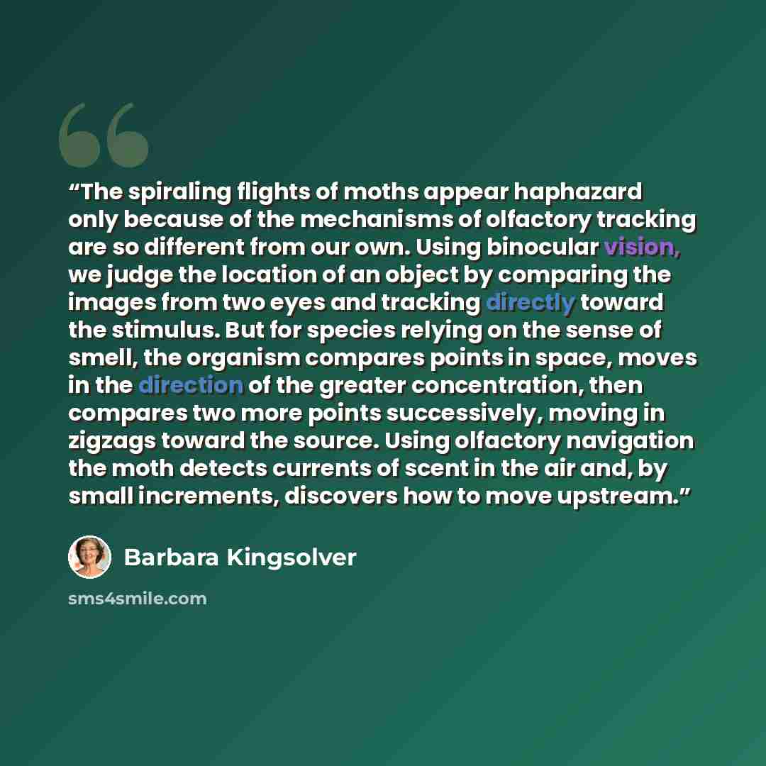 “The spiraling flights of moths appear haphazard only because of the mechanisms of olfactory tracking are so different from our own. Using binocular vision, we judge the location of an object by comparing the images from two eyes and tracking directly toward the stimulus. But for species relying on…” quote by Barbara Kingsolver