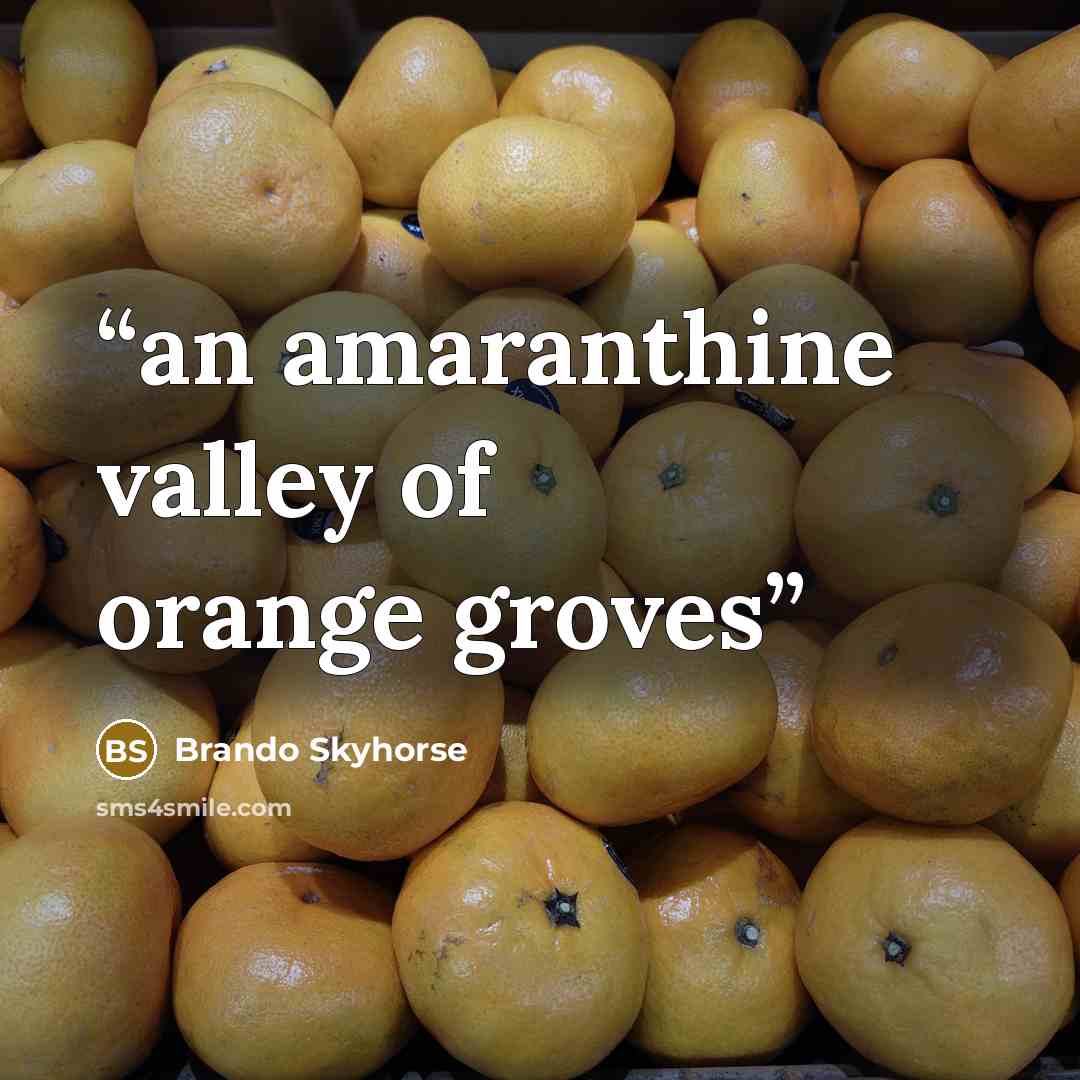 “an amaranthine valley of orange groves” quote by Brando Skyhorse