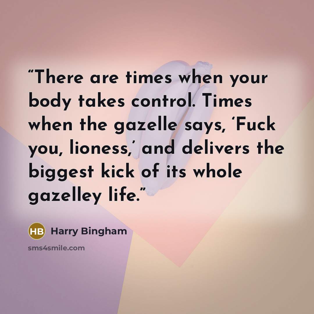 “There are times when your body takes control. Times when the gazelle says, ‘Fuck you, lioness,’ and delivers the biggest kick of its whole gazelley life.” quote by Harry Bingham