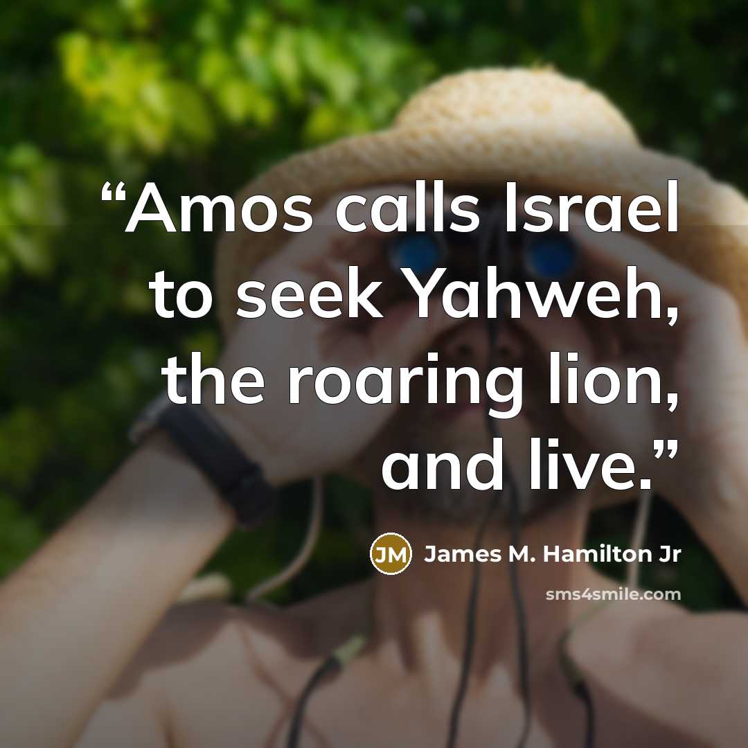 “Amos calls Israel to seek Yahweh, the roaring lion, and live.” quote by James M. Hamilton Jr