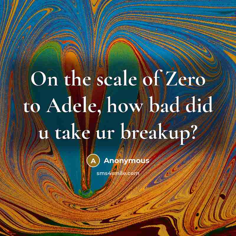 “On the scale of Zero to Adele, how bad did u take ur breakup?” quote by Anonymous