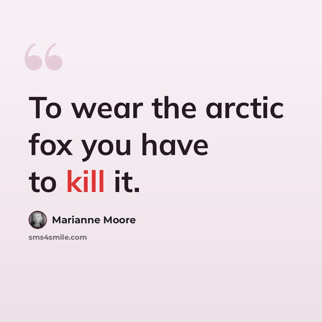 “To wear the arctic fox you have to kill it.” quote by Marianne Moore