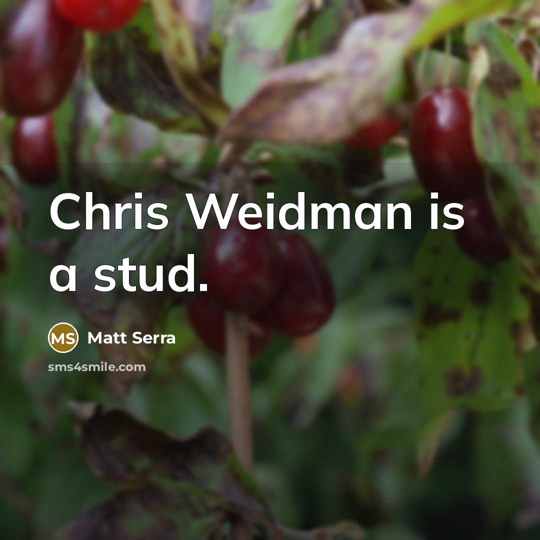 “Chris Weidman is a stud.” quote by Matt Serra