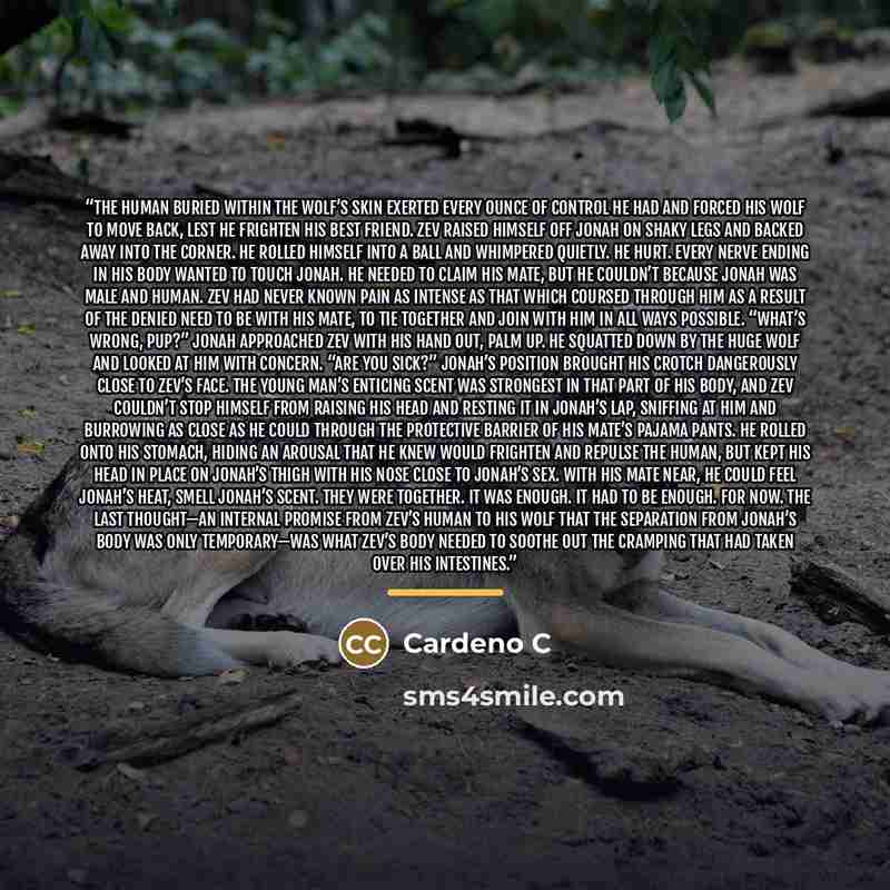 “The human buried within the wolf’s skin exerted every ounce of control he had and forced his wolf to move back, lest he frighten his best friend. Zev raised himself off Jonah on shaky legs and backed away into the corner. He rolled himself into a ball and whimpered quietly. He hurt. Every nerve…” quote by Cardeno C