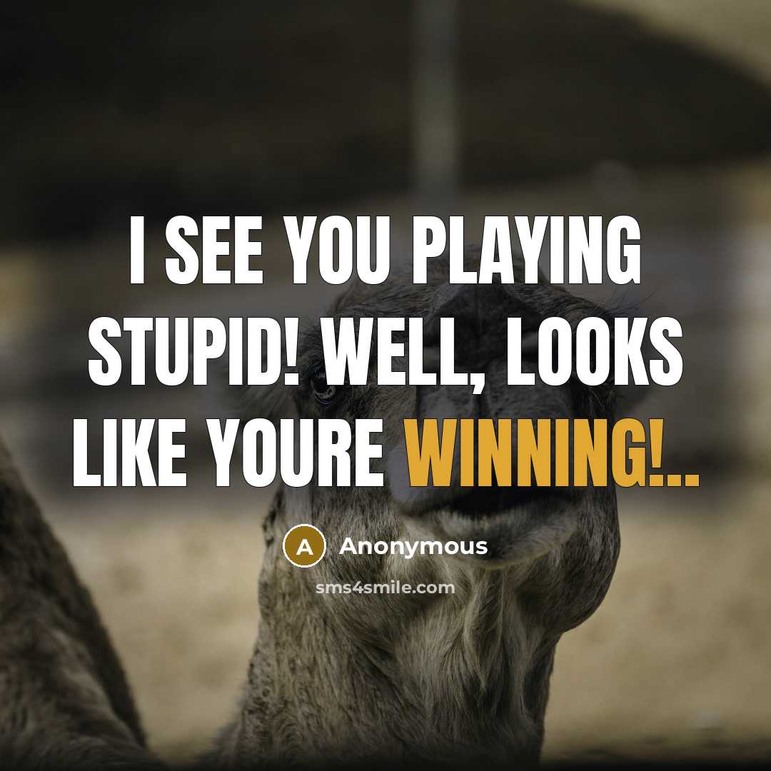 “I see you playing stupid! Well, looks like youre winning!..” quote by Anonymous