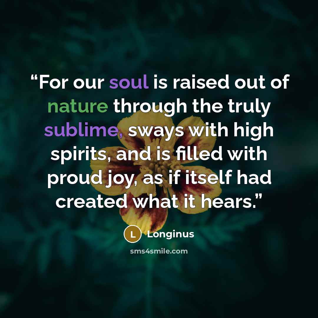 “For our soul is raised out of nature through the truly sublime, sways with high spirits, and is filled with proud joy, as if itself had created what it hears.” quote by Longinus