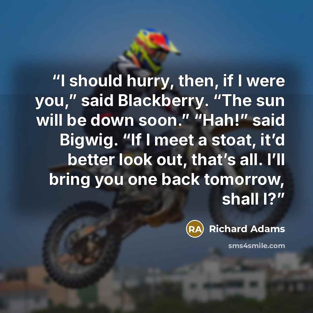 “I should hurry, then, if I were you,” said Blackberry. “The sun will be down soon.” “Hah!” said Bigwig. “If I meet a stoat, it’d better look out, that’s all. I’ll bring you one back tomorrow, shall I?” quote by Richard Adams