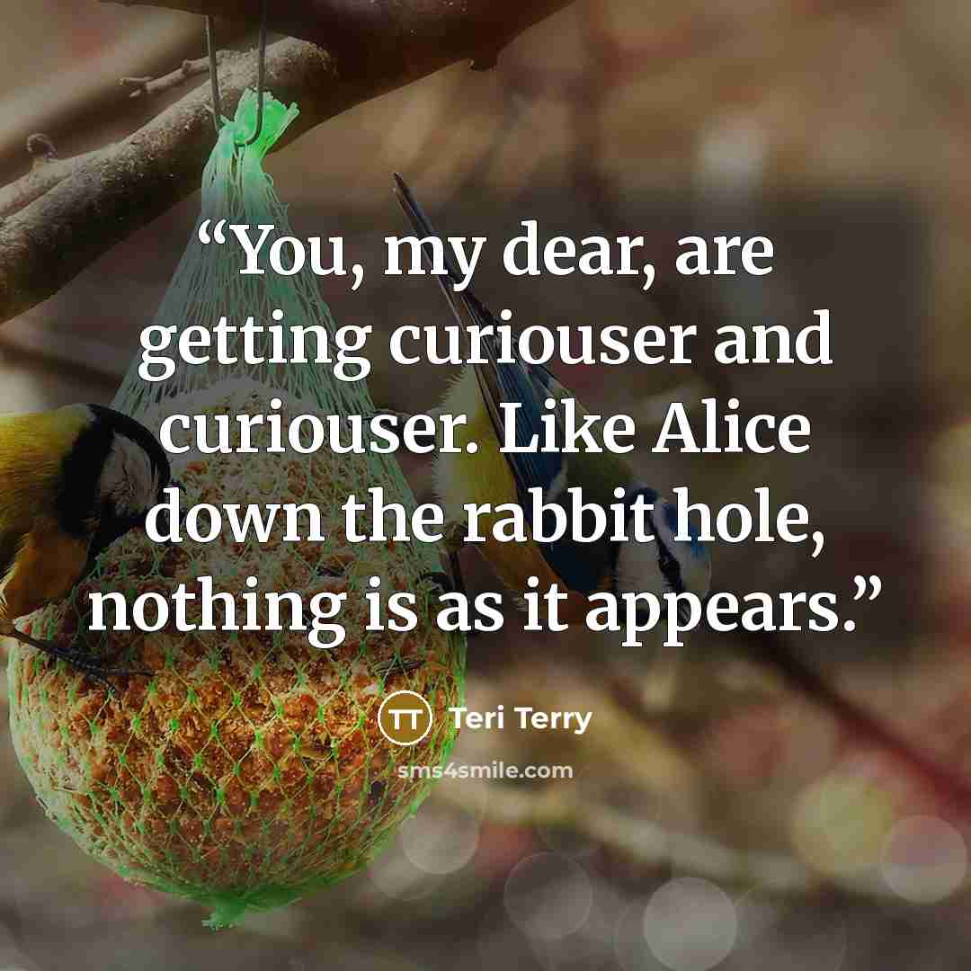 “You, my dear, are getting curiouser and curiouser. Like Alice down the rabbit hole, nothing is as it appears.” quote by Teri Terry