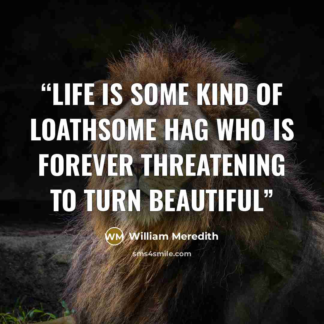 “Life is some kind of loathsome hag who is forever threatening to turn beautiful” quote by William Meredith