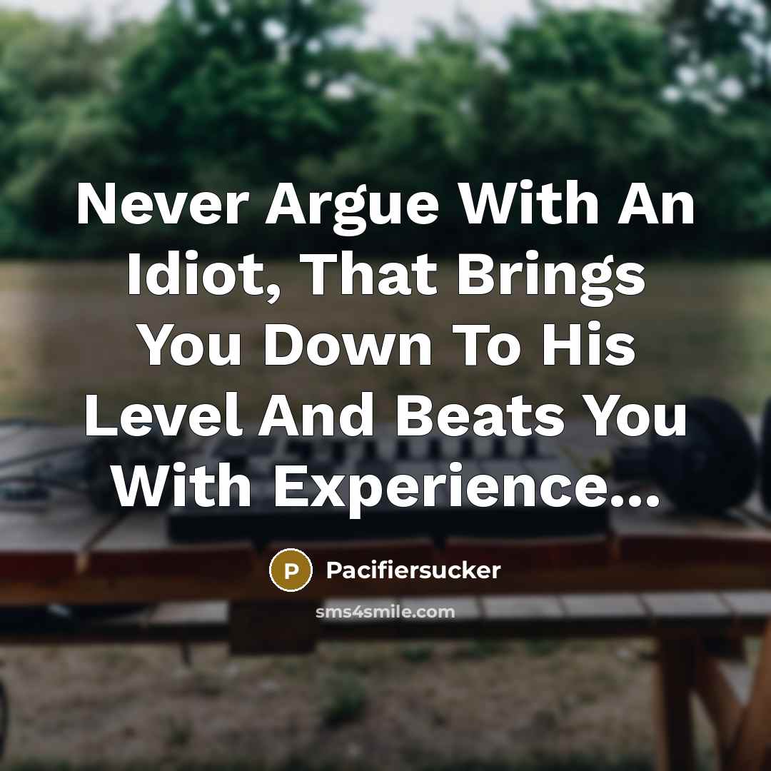 “Never Argue With An Idiot, That Brings You Down To His Level And Beats You With Experience...” quote by Pacifiersucker