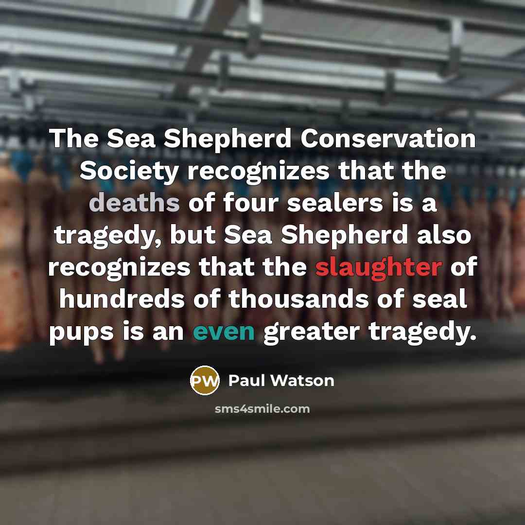 “The Sea Shepherd Conservation Society recognizes that the deaths of four sealers is a tragedy, but Sea Shepherd also recognizes that the slaughter of hundreds of thousands of seal pups is an even greater tragedy.” quote by Paul Watson