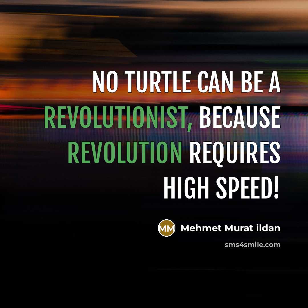 “No turtle can be a revolutionist, because revolution requires high speed!” quote by Mehmet Murat Ildan
