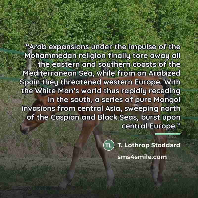 “Arab expansions under the impulse of the Mohammedan religion finally tore away all the eastern and southern coasts of the Mediterranean Sea, while from an Arabized Spain they threatened western Europe. With the White Man’s world thus rapidly receding in the south, a series of pure Mongol invasions…” quote by T. Lothrop Stoddard