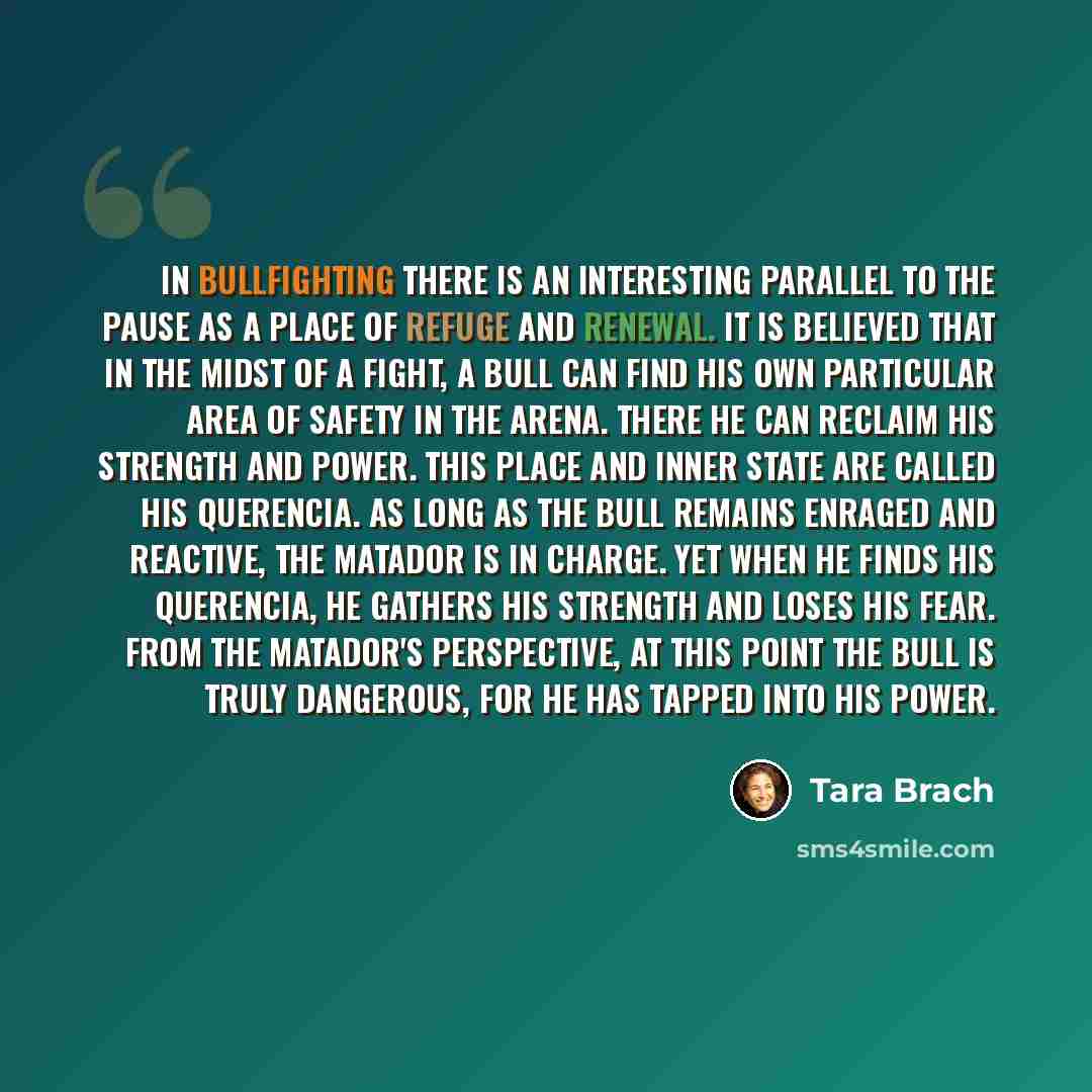 “In bullfighting there is an interesting parallel to the pause as a place of refuge and renewal. It is believed that in the midst of a fight, a bull can find his own particular area of safety in the arena. There he can reclaim his strength and power. This place and inner state are called his…” quote by Tara Brach