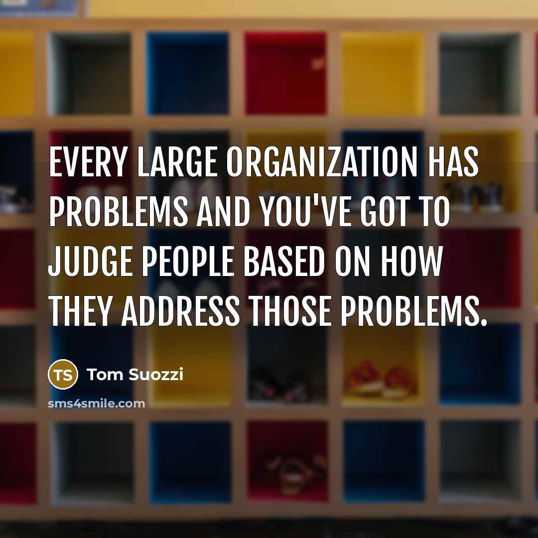 “Every large organization has problems and you've got to judge people based on how they address those problems.” quote by Tom Suozzi
