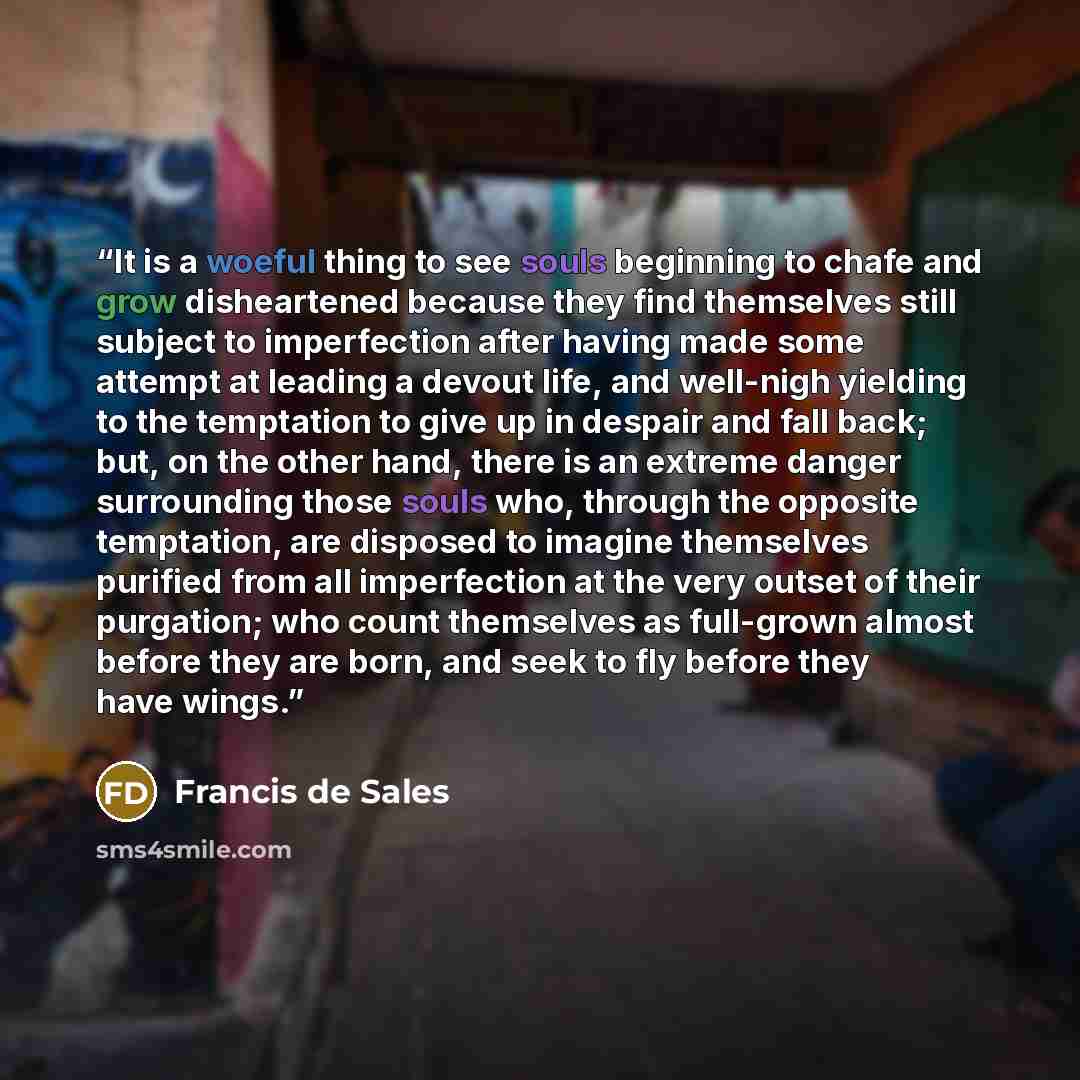 “It is a woeful thing to see souls beginning to chafe and grow disheartened because they find themselves still subject to imperfection after having made some attempt at leading a devout life, and well-nigh yielding to the temptation to give up in despair and fall back; but, on the other hand, there…” quote by Francis de Sales