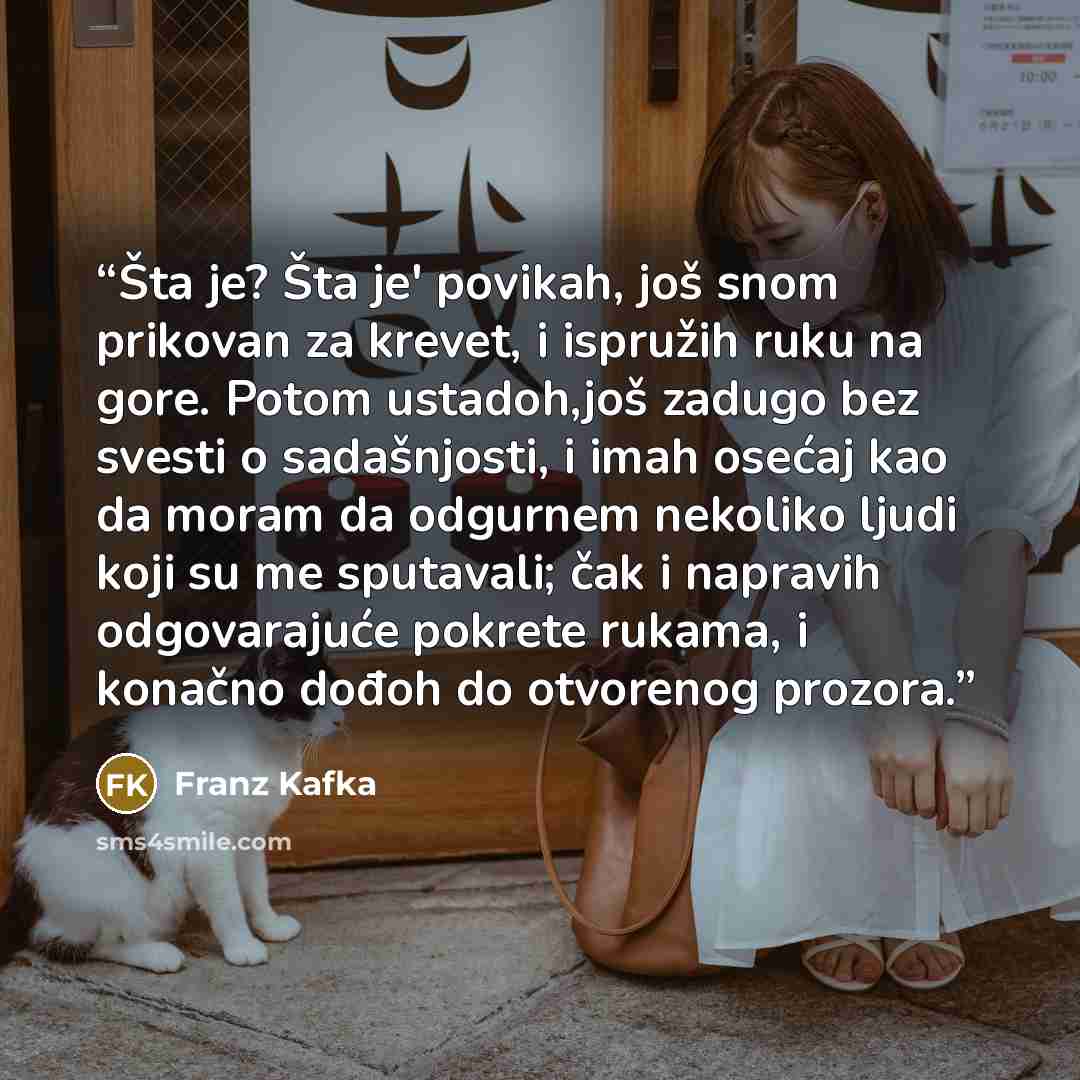 “Šta je? Šta je' povikah, još snom prikovan za krevet, i ispružih ruku na gore. Potom ustadoh,još zadugo bez svesti o sadašnjosti, i imah osećaj kao da moram da odgurnem nekoliko ljudi koji su me sputavali; čak i napravih odgovarajuće pokrete rukama, i konačno dođoh do otvorenog prozora.” quote by Franz Kafka
