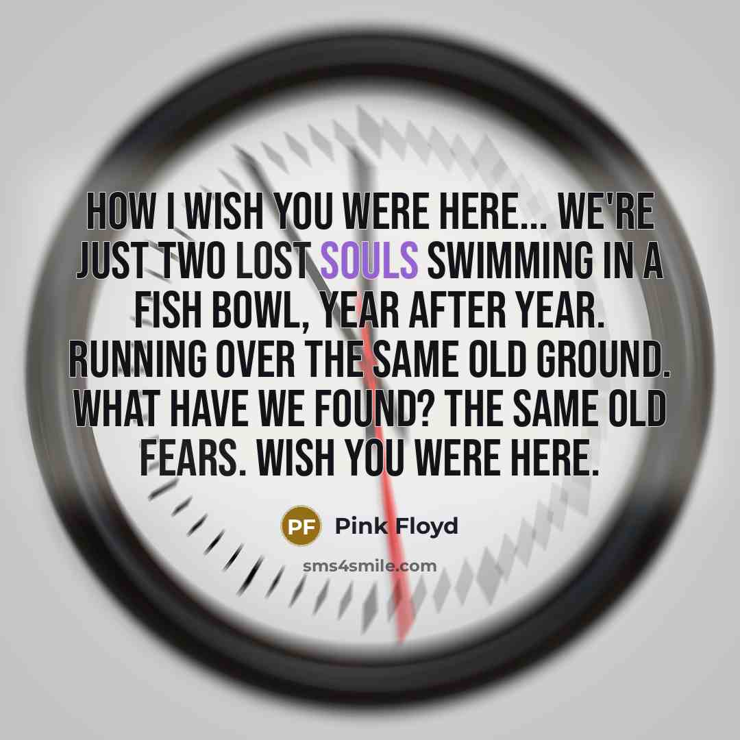 “How I wish you were here... We're just two lost souls swimming in a fish bowl, Year after year. Running over the same old ground. What have we found? The same old fears. Wish you were here.” quote by Pink Floyd