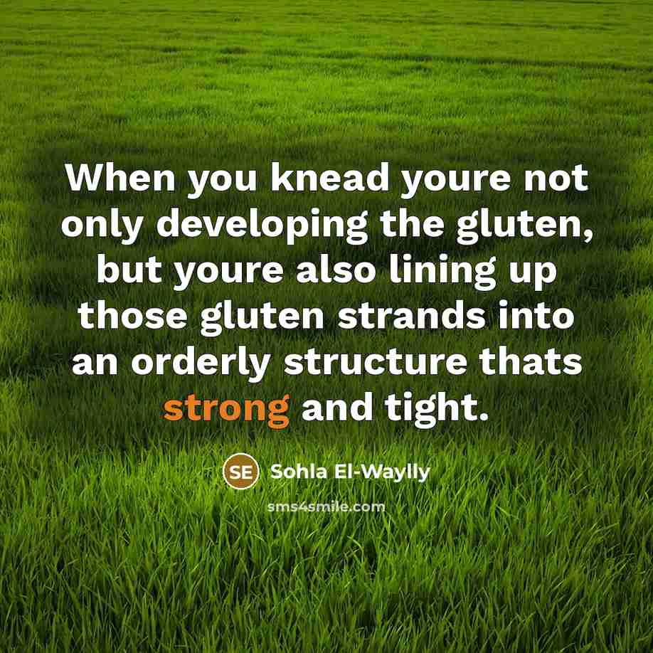 “When you knead youre not only developing the gluten, but youre also lining up those gluten strands into an orderly structure thats strong and tight.” quote by Sohla El-Waylly