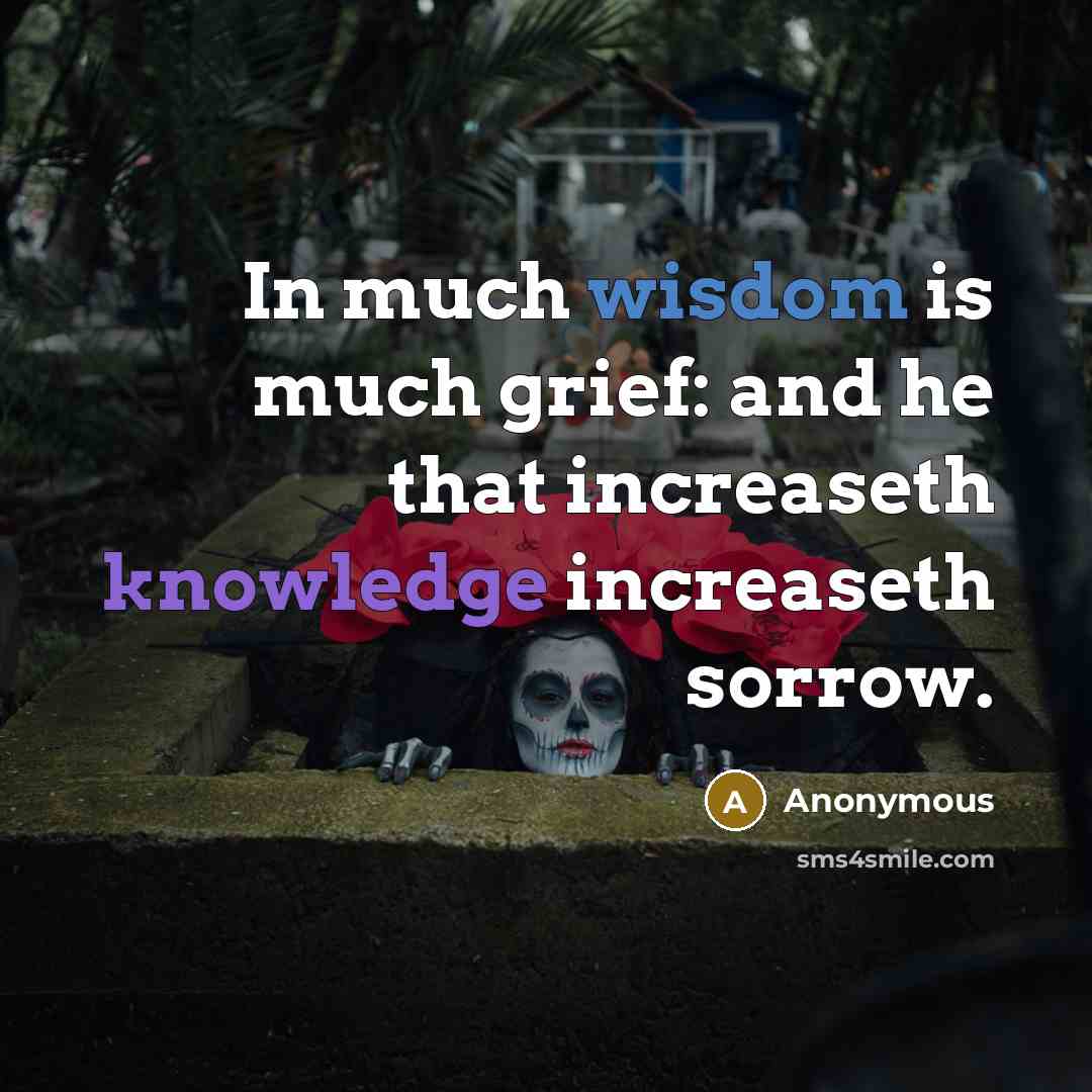 “In much wisdom is much grief: and he that increaseth knowledge increaseth sorrow.” quote by Anonymous