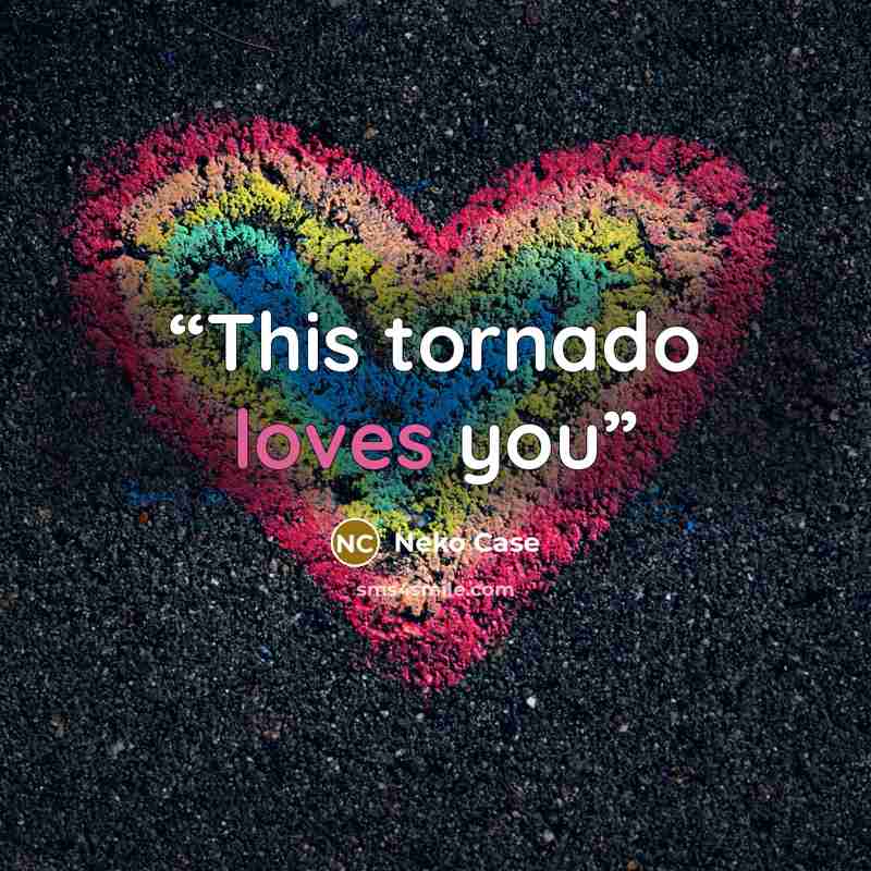 “This tornado loves you” quote by Neko Case