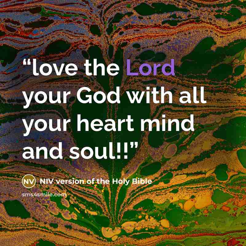 “love the Lord your God with all your heart mind and soul!!” quote by NIV version of the Holy Bible
