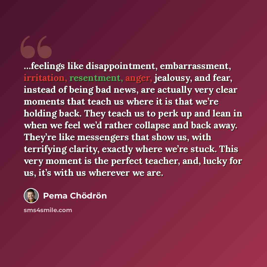 “…feelings like disappointment, embarrassment, irritation, resentment, anger, jealousy, and fear, instead of being bad news, are actually very clear moments that teach us where it is that we’re holding back. They teach us to perk up and lean in when we feel we’d rather collapse and back away…” quote by Pema Chodron