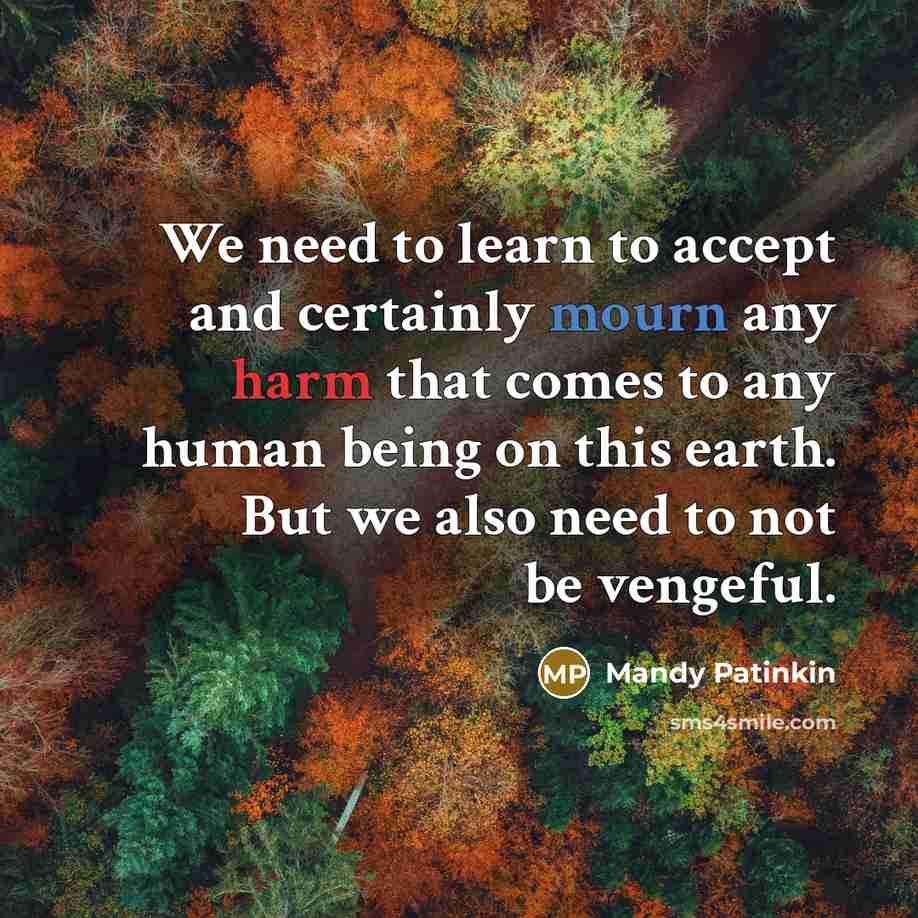 “We need to learn to accept and certainly mourn any harm that comes to any human being on this earth. But we also need to not be vengeful.” quote by Mandy Patinkin
