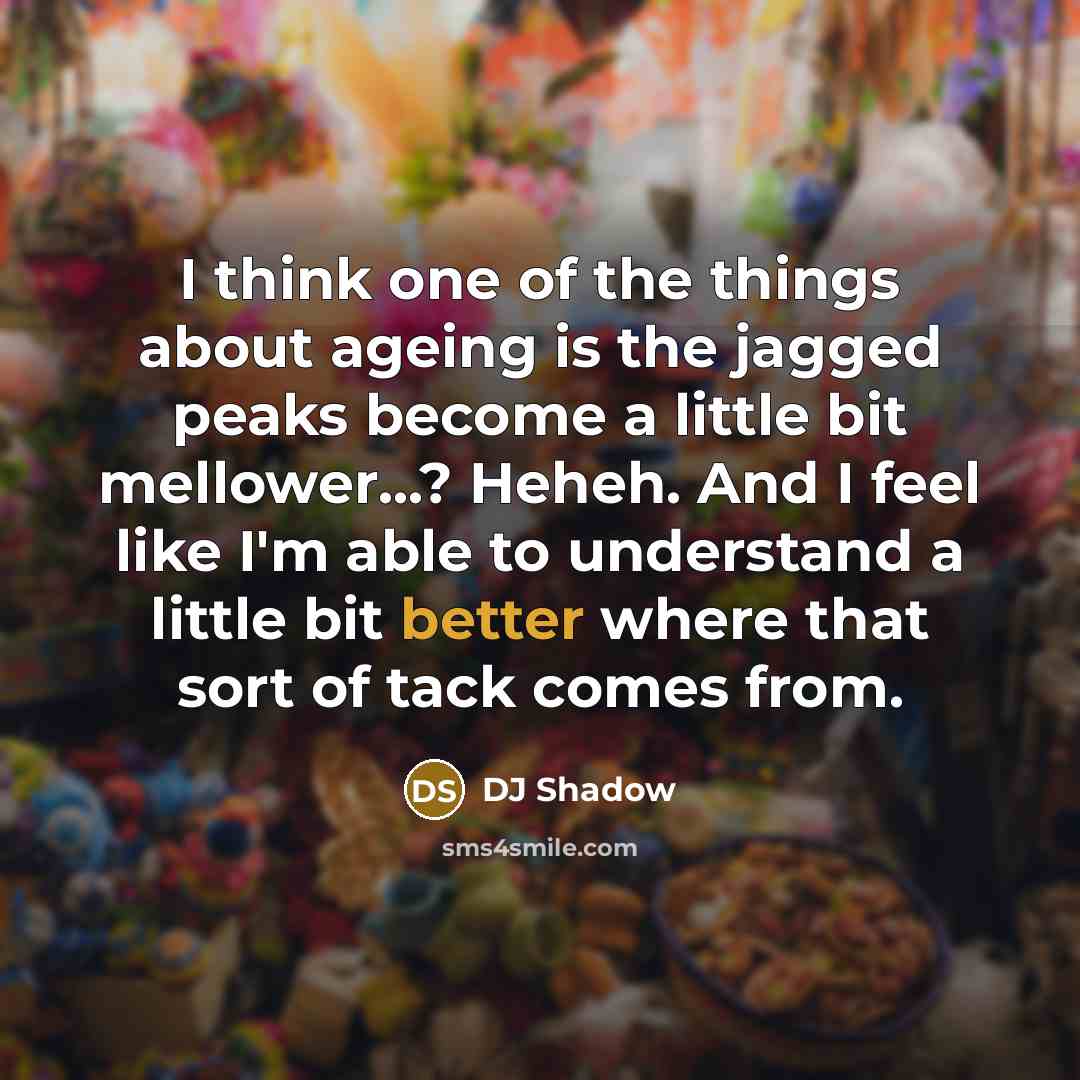 “I think one of the things about ageing is the jagged peaks become a little bit mellower...? Heheh. And I feel like I'm able to understand a little bit better where that sort of tack comes from.” quote by DJ Shadow