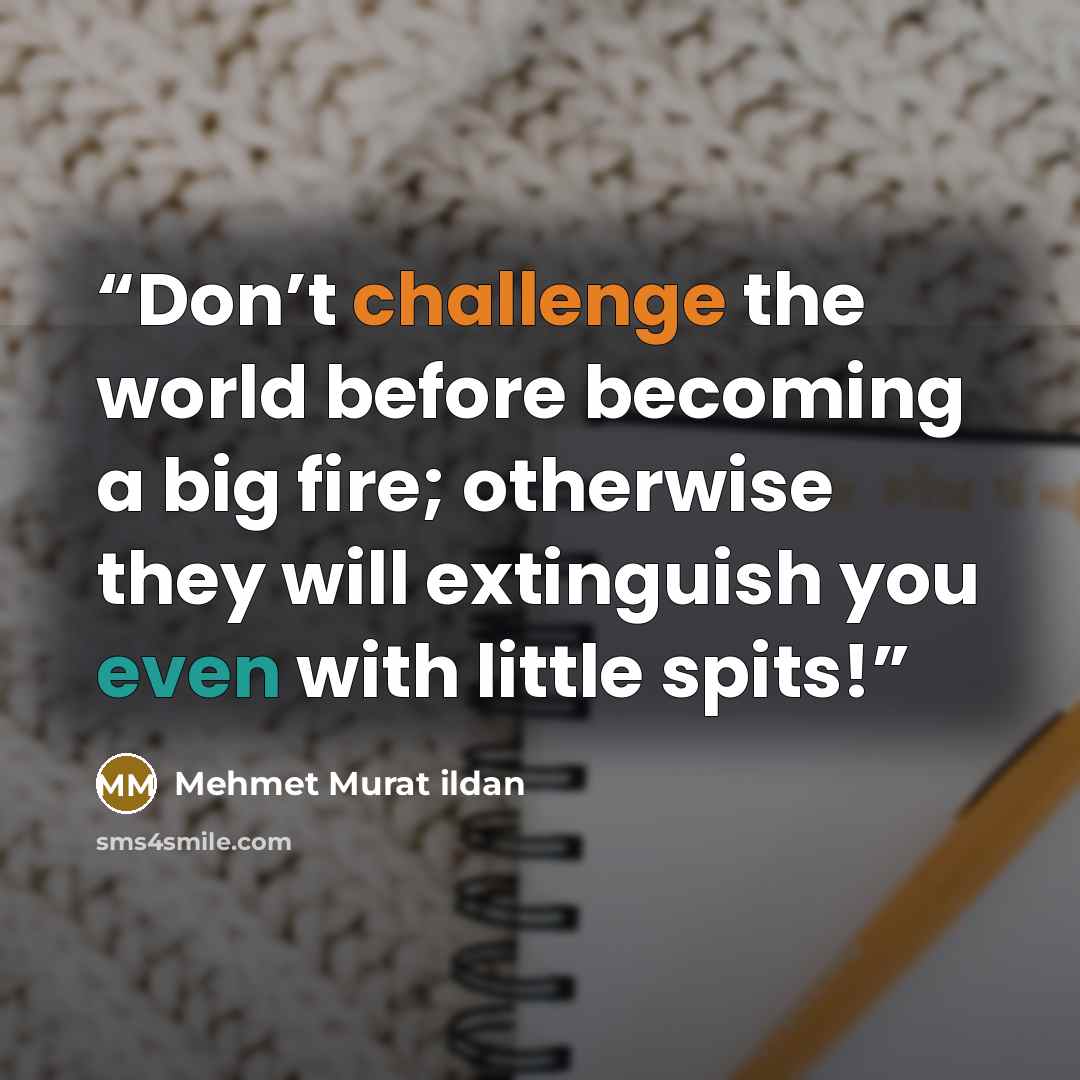 “Don’t challenge the world before becoming a big fire; otherwise they will extinguish you even with little spits!” quote by Mehmet Murat ildan