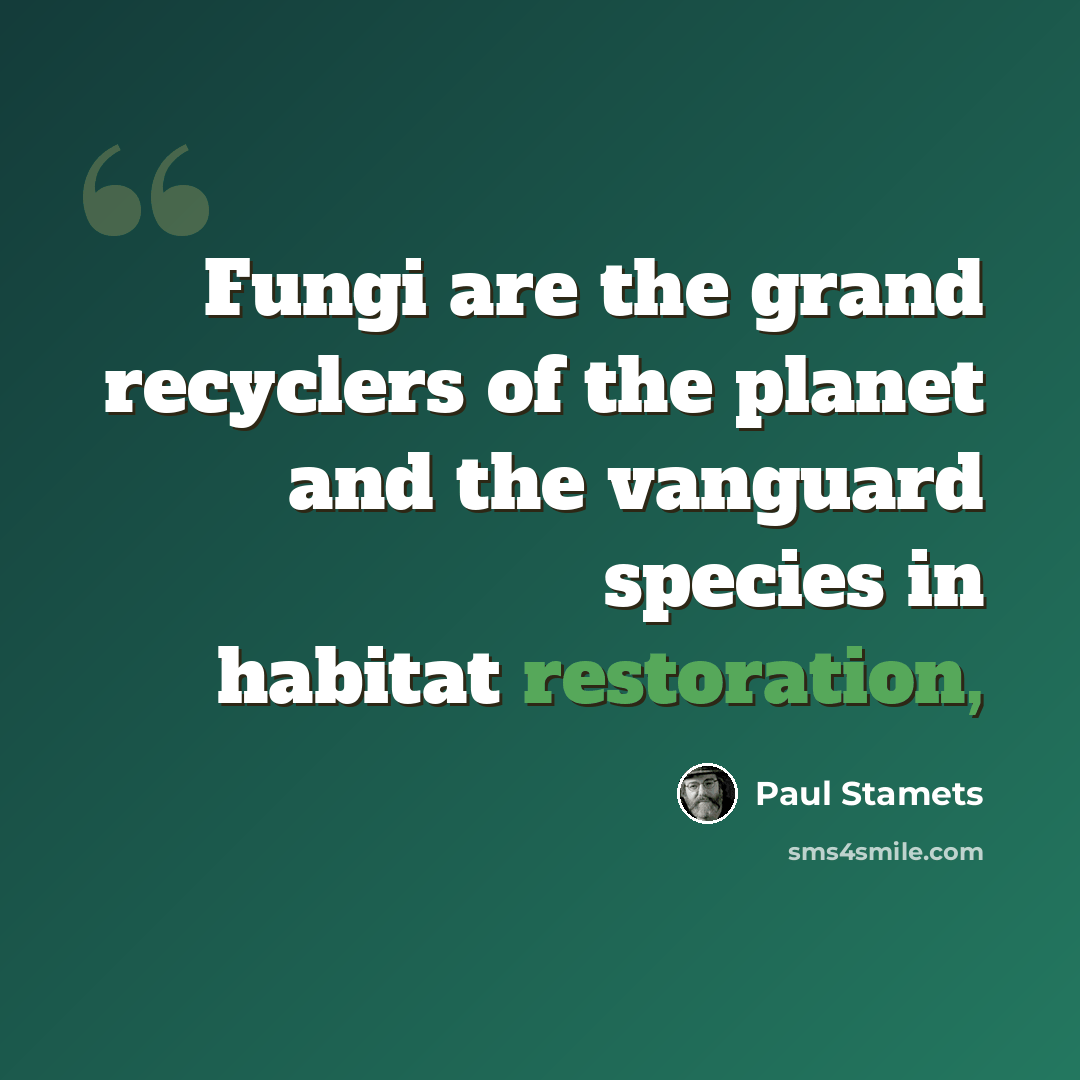 “Fungi are the grand recyclers of the planet and the vanguard species in habitat restoration,” quote by Paul Stamets