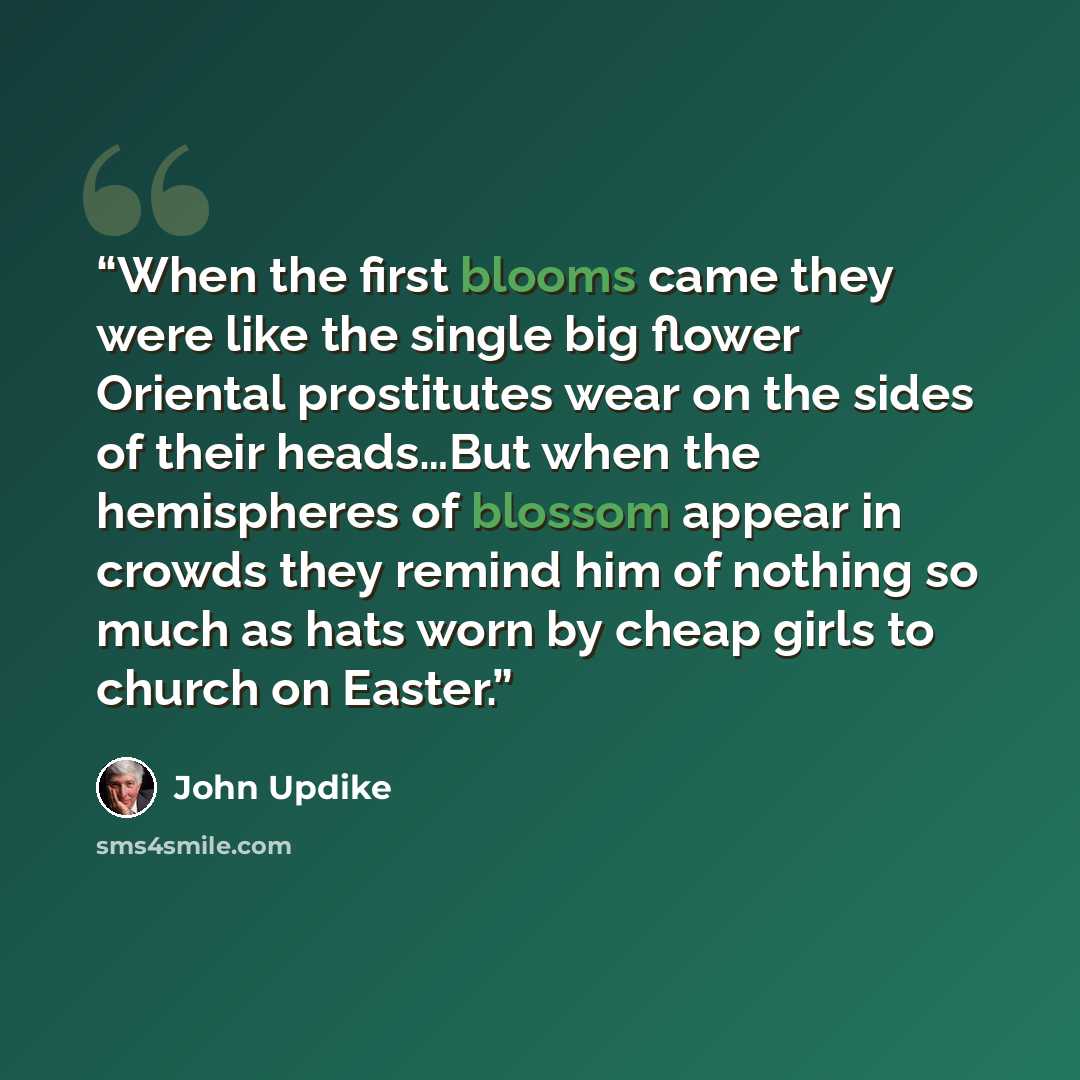 “When the first blooms came they were like the single big flower Oriental prostitutes wear on the sides of their heads…But when the hemispheres of blossom appear in crowds they remind him of nothing so much as hats worn by cheap girls to church on Easter.” quote by John Updike