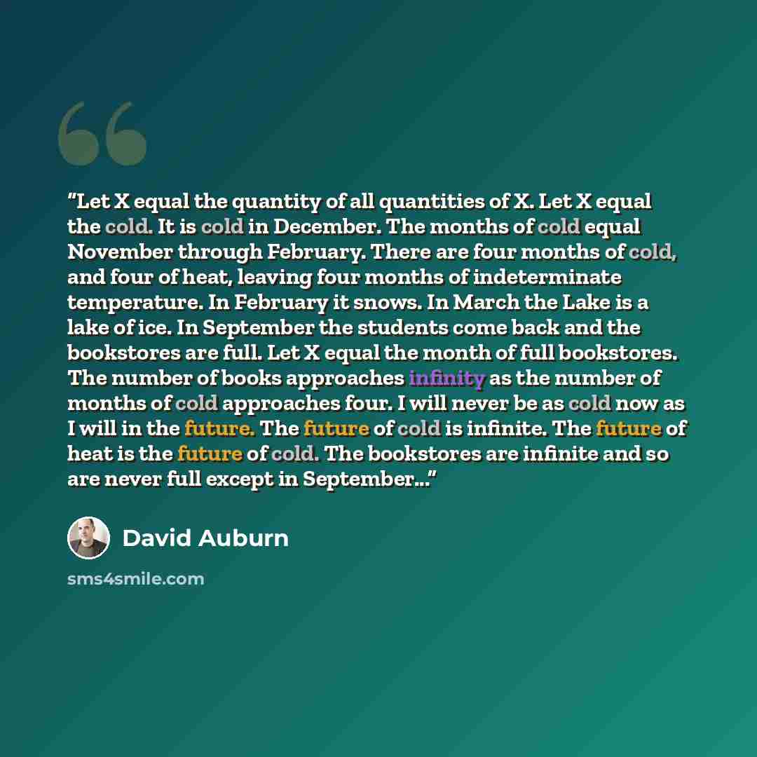 “Let X equal the quantity of all quantities of X. Let X equal the cold. It is cold in December. The months of cold equal November through February. There are four months of cold, and four of heat, leaving four months of indeterminate temperature. In February it snows. In March the Lake is a lake of…” quote by David Auburn