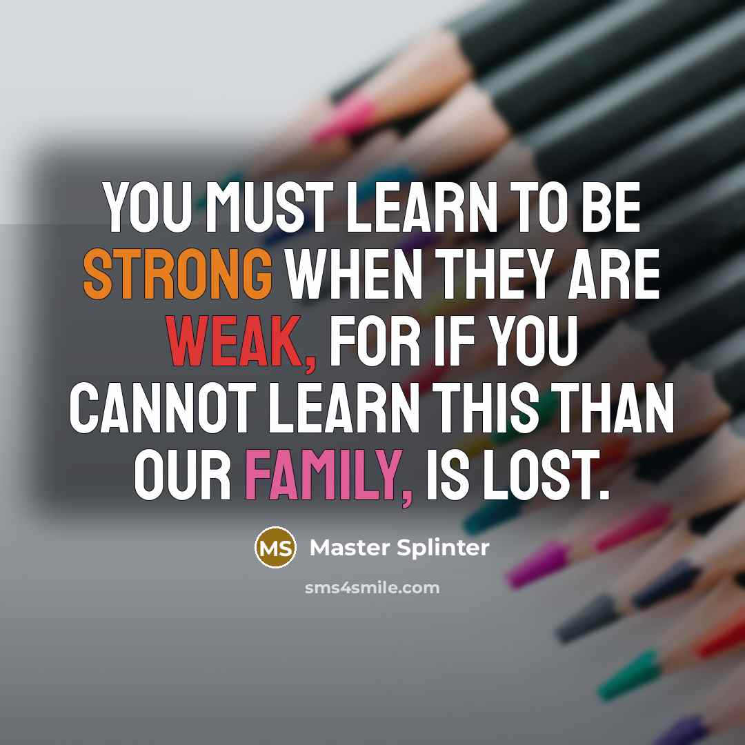 “You must learn to be strong when they are weak, for if you cannot learn this than our family, is lost.” quote by Master Splinter