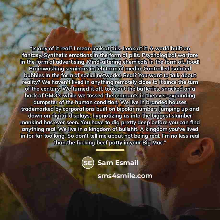 “Is any of it real? I mean look at this. Look at it! A world built on fantasy. Synthetic emotions in the form of pills. Psychological warfare in the form of advertising. Mind-altering chemicals in the form of...food! Brainwashing seminars in teh form of media. Controlled isolated bubbles in the…” quote by Sam Esmail