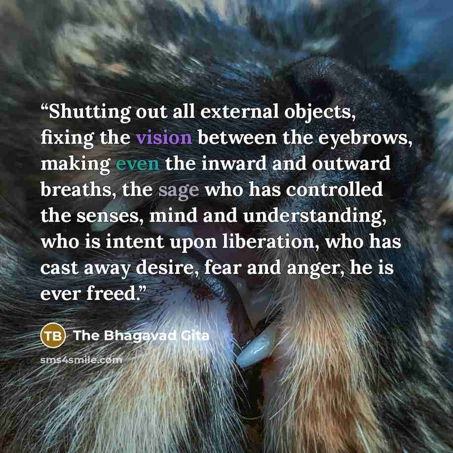 “Shutting out all external objects, fixing the vision between the eyebrows, making even the inward and outward breaths, the sage who has controlled the senses, mind and understanding, who is intent upon liberation, who has cast away desire, fear and anger, he is ever freed.” quote by The Bhagavad Gita