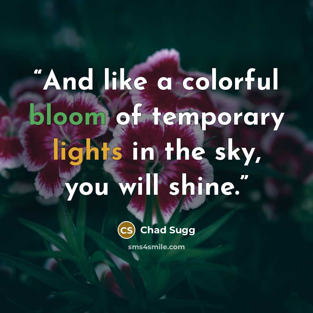 “And like a colorful bloom of temporary lights in the sky, you will shine.” quote by Chad Sugg