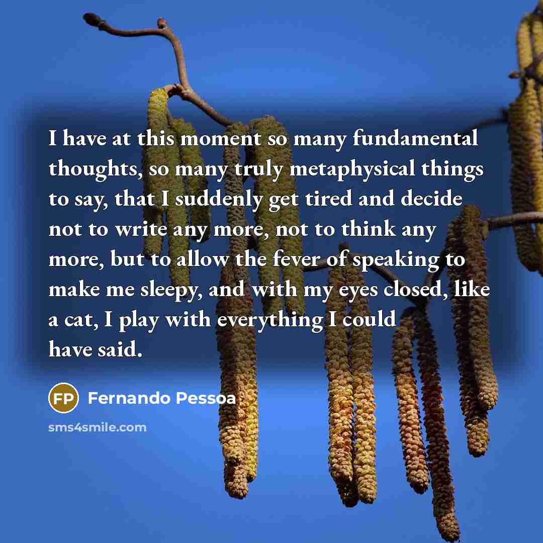 “I have at this moment so many fundamental thoughts, so many truly metaphysical things to say, that I suddenly get tired and decide not to write any more, not to think any more, but to allow the fever of speaking to make me sleepy, and with my eyes closed, like a cat, I play with everything I could…” quote by Fernando Pessoa