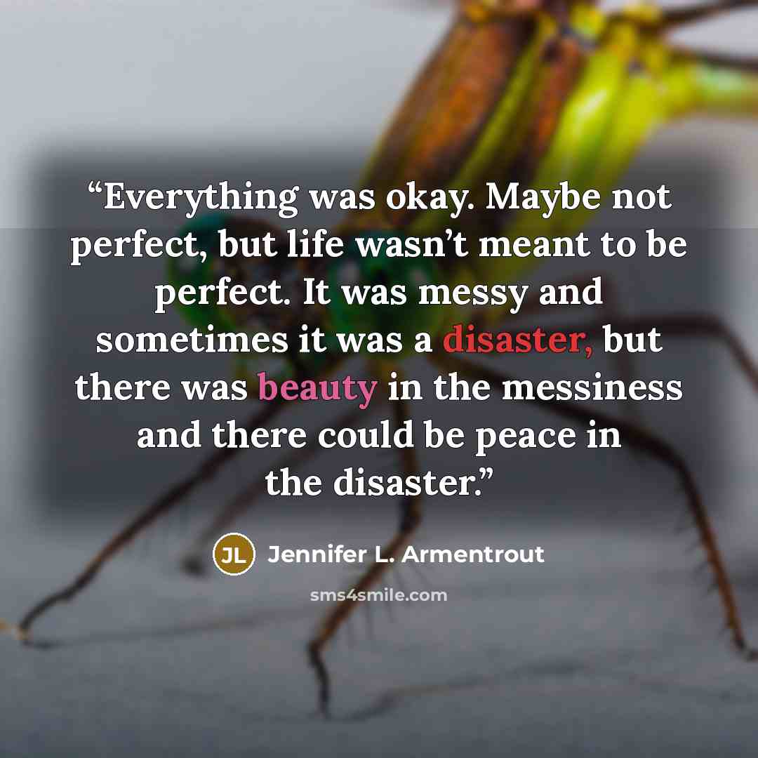 “Everything was okay. Maybe not perfect, but life wasn’t meant to be perfect. It was messy and sometimes it was a disaster, but there was beauty in the messiness and there could be peace in the disaster.” quote by Jennifer L. Armentrout