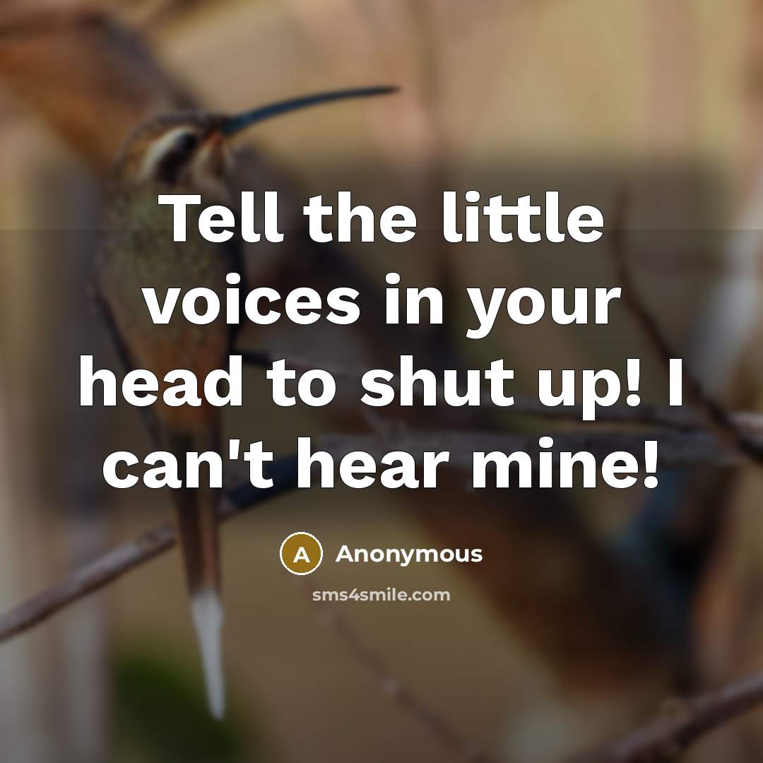 “Tell the little voices in your head to shut up! I can't hear mine!” quote by Anonymous