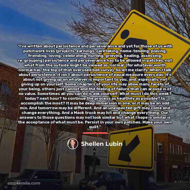 “I've written about persistence and perseverance and yet for those of us with patchwork lives (projects, earnings, caretaking, home-tending, playing, friending, loving, celebrating, hurting, grieving, healing, assessing, re-grouping) persistence and perseverance has to be allowed in patches, not…” quote by Shellen Lubin