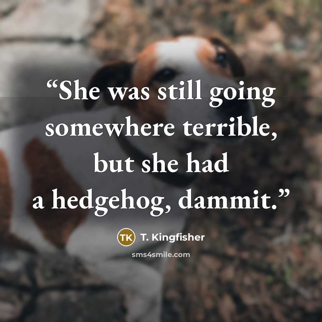 “She was still going somewhere terrible, but she had a hedgehog, dammit.” quote by T. Kingfisher