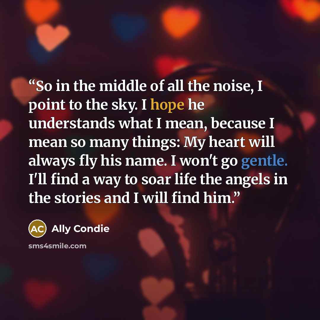 “So in the middle of all the noise, I point to the sky. I hope he understands what I mean, because I mean so many things: My heart will always fly his name. I won't go gentle. I'll find a way to soar life the angels in the stories and I will find him.” quote by Ally Condie