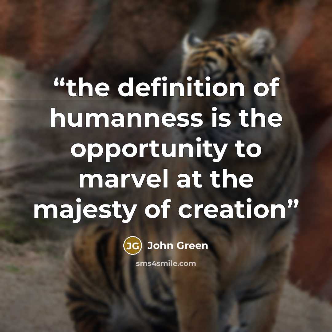 “the definition of humanness is the opportunity to marvel at the majesty of creation” quote by John Green