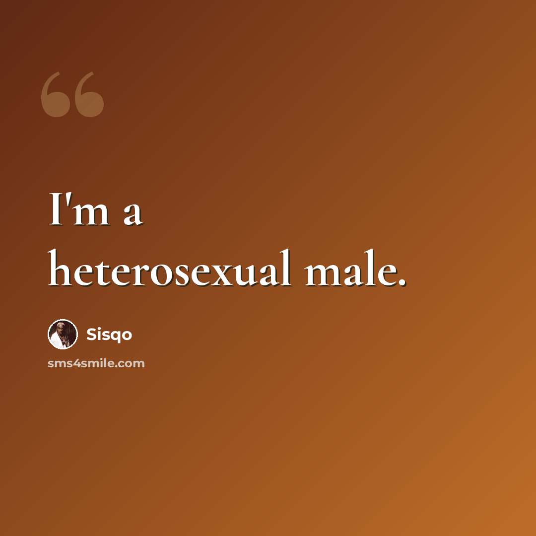 “I'm a heterosexual male.” quote by Sisqo