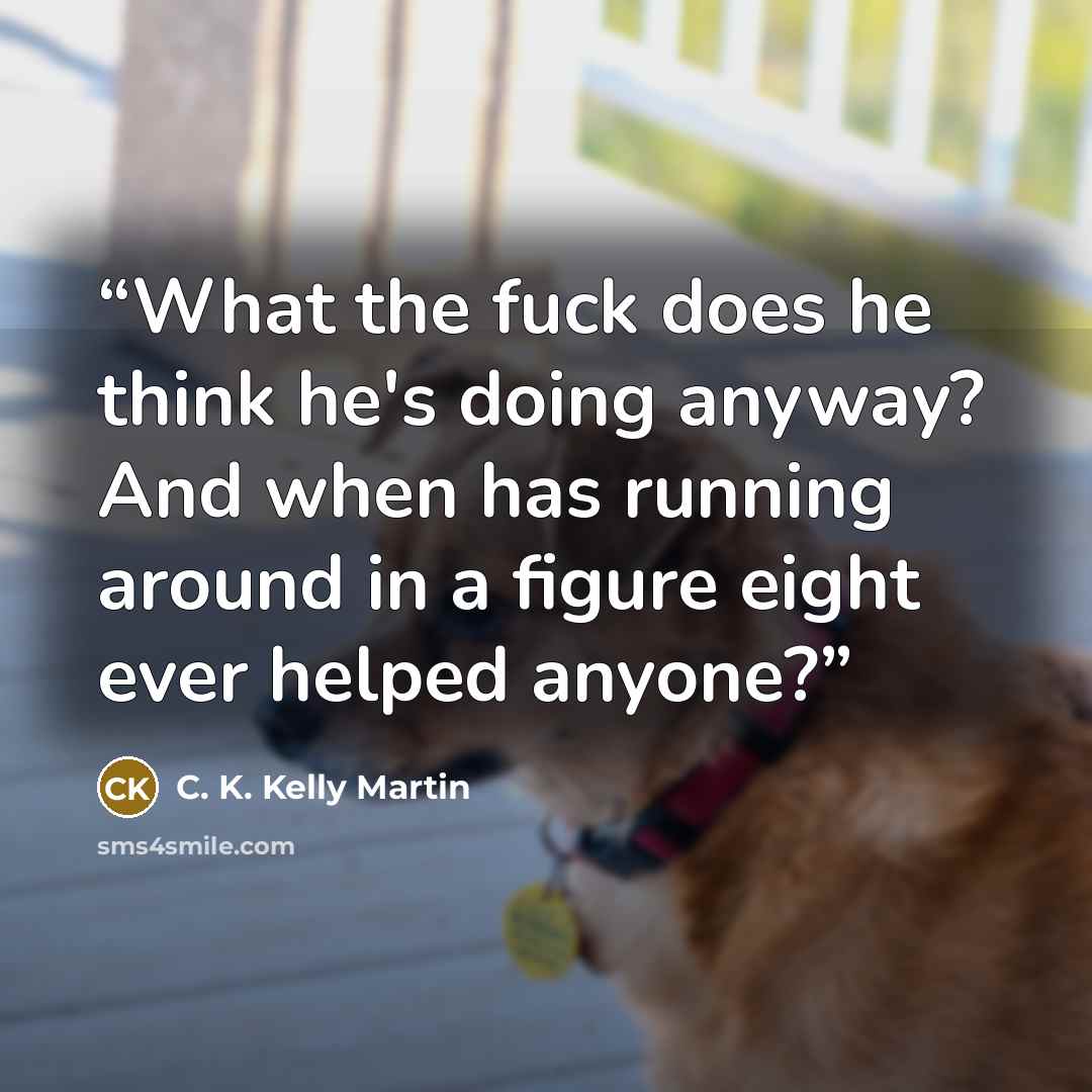 “What the fuck does he think he's doing anyway? And when has running around in a figure eight ever helped anyone?” quote by C. K. Kelly Martin
