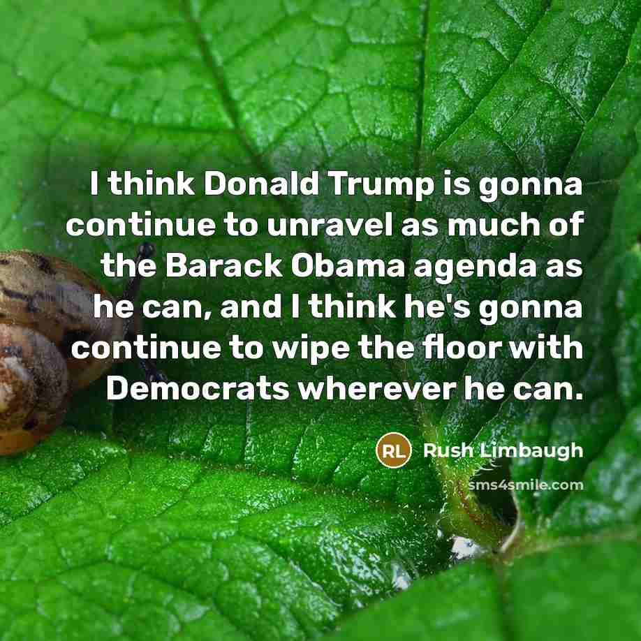 “I think Donald Trump is gonna continue to unravel as much of the Barack Obama agenda as he can, and I think he's gonna continue to wipe the floor with Democrats wherever he can.” quote by Rush Limbaugh